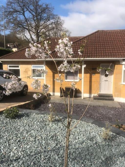 Quiet And Cosy Flat, Close To Bath Centre Esterno foto